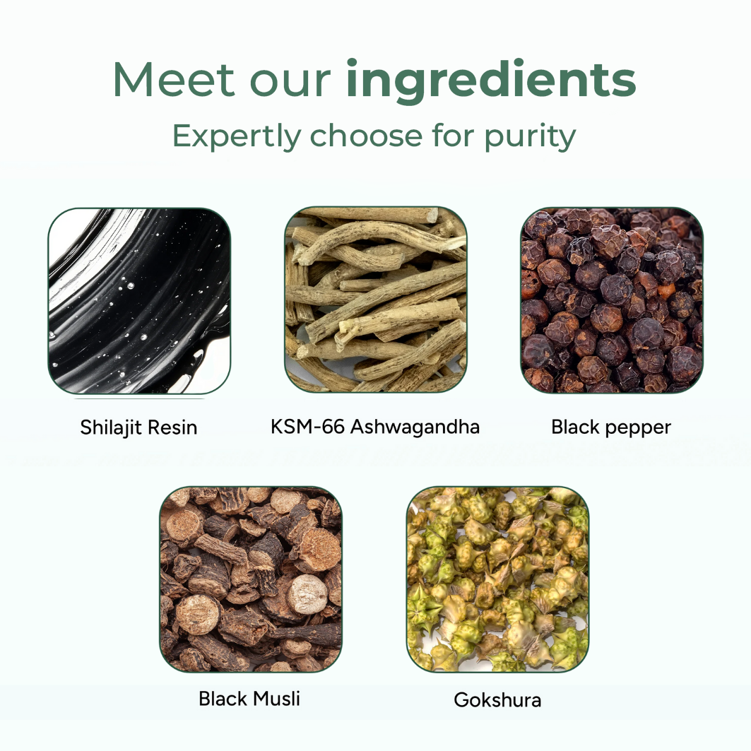 Pure Shilajit Gummies